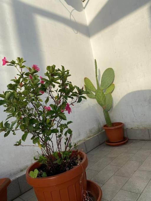 Apartment Piccolo Sogno Rome